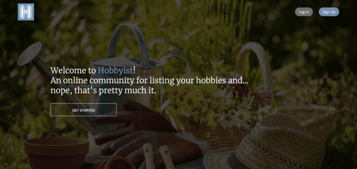 Hobbyist Website