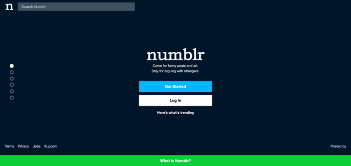 Tumblr Clone Website